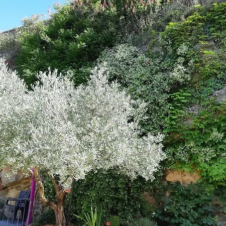 Cevenol Avec Et Piscine Privatifs * Saint-Martin-de-Valgalgues