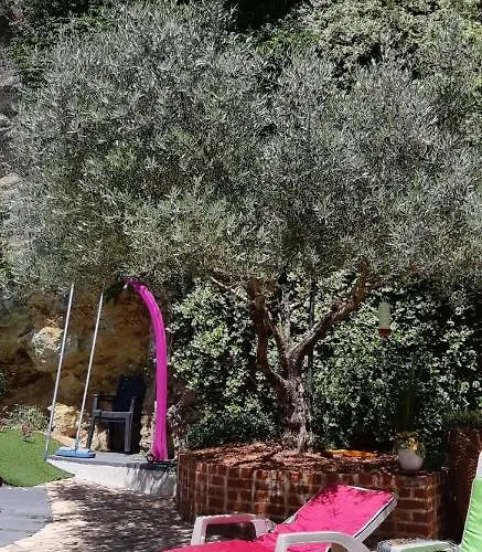 Hébergement de vacances Cévenol Avec Et Piscine Privatifs Saint-Martin-de-Valgalgues